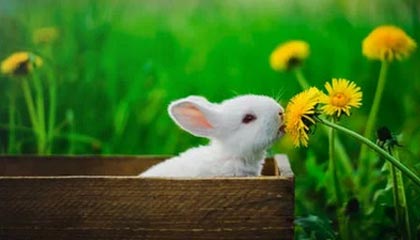 世预赛-马特塔破门古斯托两助攻 法国3-1阿塞拜疆